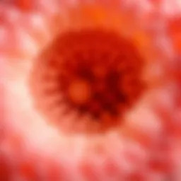 Microscopic view of gut mucosa revealing cellular layers and structure