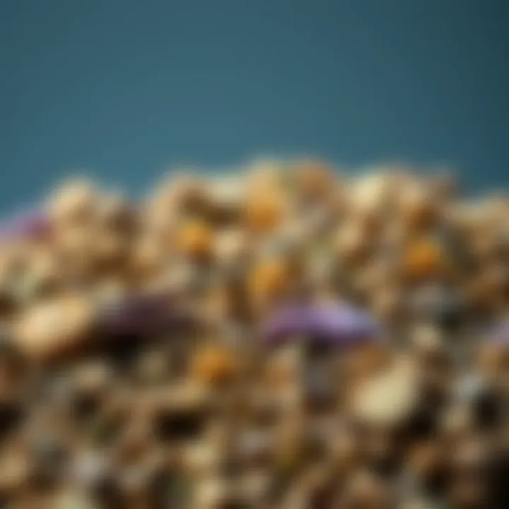 Close-up of dried herbs traditionally used in herbal medicine.