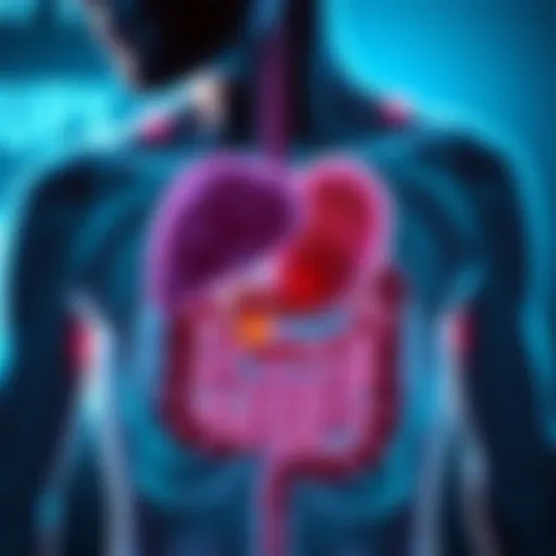 Medical illustration depicting lupus effects on the digestive system