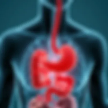 Graphical representation of gastrointestinal lupus symptoms