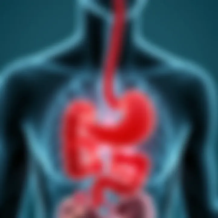 Graphical representation of gastrointestinal lupus symptoms