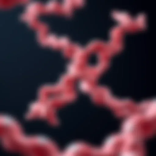 Detailed structure of M protein