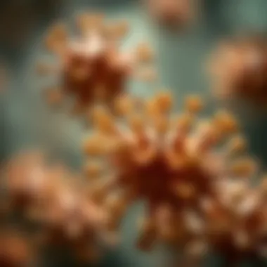 Exploring Mek Inhibitor U0126: Mechanisms, Applications, and Implications in Research Introduction