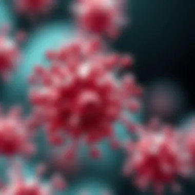 Exploring Mek Inhibitor U0126: Mechanisms, Applications, and Implications in Research Summary Exploring Mek Inhibitor U0126: Mechanisms, Applications, and Implications in Research Summary