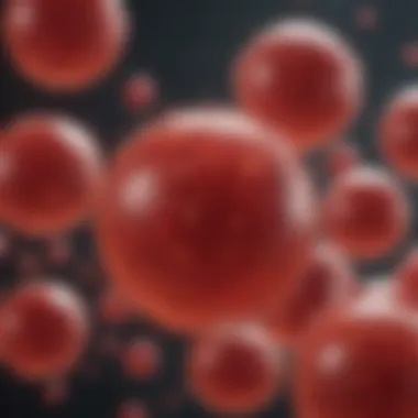 Blood Cell Differentiation Overview Visual representation of blood cell differentiation