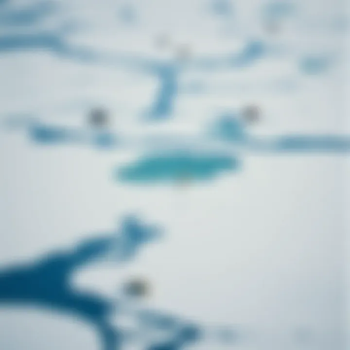 An aerial view of the Arctic landscape showcasing polar bear habitats