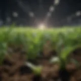 Enzymatic solutions enhancing crop performance
