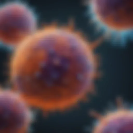 Detailed view of prostate cancer cells under a microscope