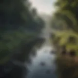 A serene river surrounded by lush vegetation showing signs of pollution.