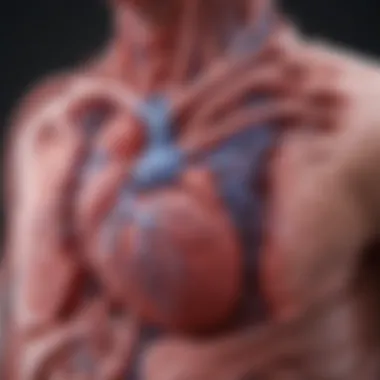 Biological Mechanisms of Vaccination and Heart Inflammation Diagram depicting biological mechanisms connecting vaccines and heart inflammation