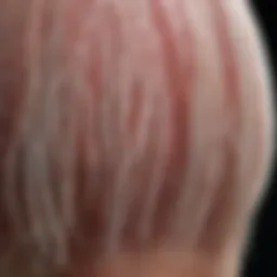 A visual representation of hair follicles and their biological structure.