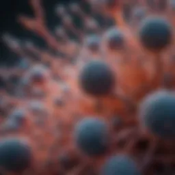 A detailed microscopic view of cellular structures