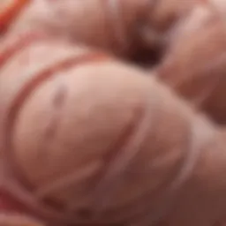 Types of soft tissue tumors with detailed classifications