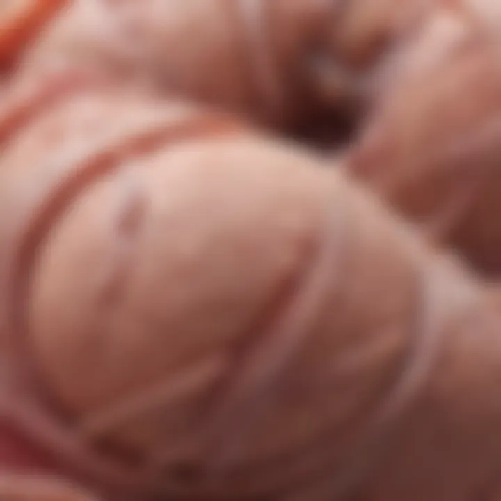 Types of soft tissue tumors with detailed classifications