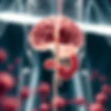 Illustration depicting the gut-brain axis and its influence on mental health