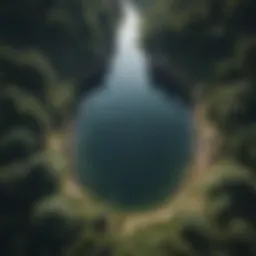 An aerial view of a freshwater reservoir surrounded by lush vegetation