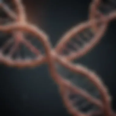 DNA strand intertwined with brain imagery