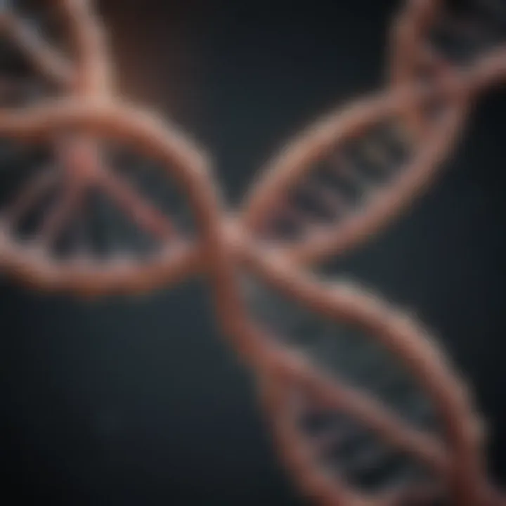 DNA strand intertwined with brain imagery