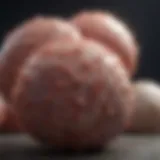 Overview of solid tumor types