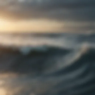 The Interaction Between Oceanic Currents and Climate Oceanic currents and climate interaction