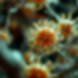 Fiber Cells: Structures, Functions, and Implications in Various Biological Contexts Introduction