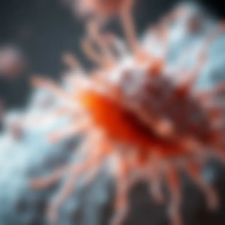 Notable Fiber Cells: Structures, Functions, and Implications in Various Biological Contexts