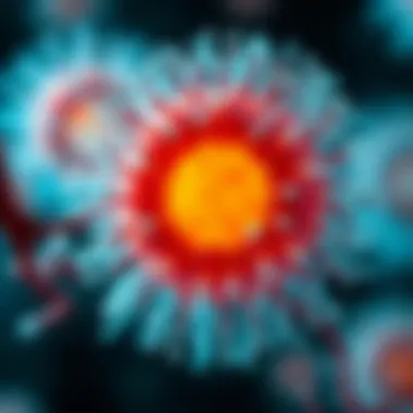 Fiber Cells: Structures, Functions, and Implications in Various Biological Contexts Summary
