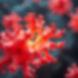 Fibroblast Activation Protein: Insights and Implications Introduction