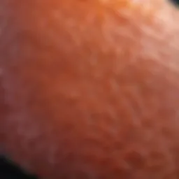 A close-up view of fish skin showcasing its texture and natural properties