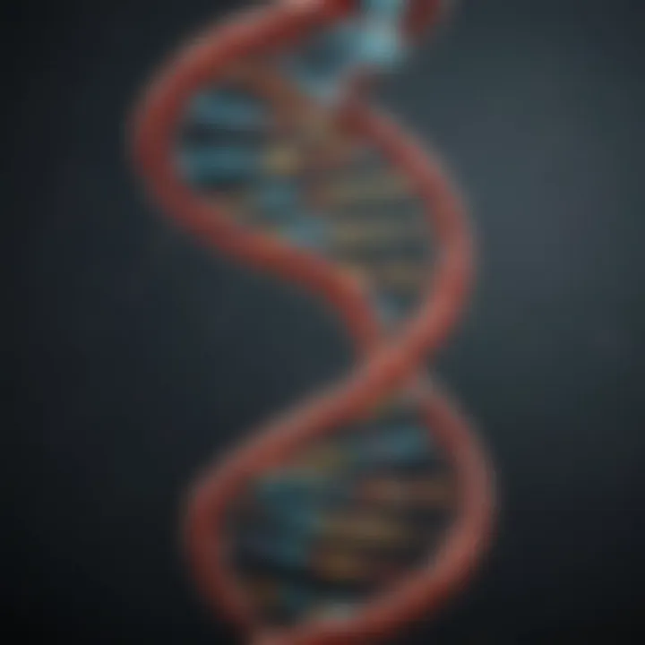 Illustration of DNA double helix structure