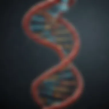 Understanding the DNA Double Helix Illustration of DNA double helix structure