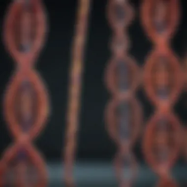 The Impact of Mutations on Genetic Code Image depicting mutations in DNA sequences