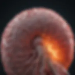 Radiological imaging of a giant cell tumor in the spinal region