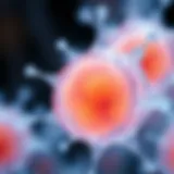 HACAT Keratinocytes: A Comprehensive Exploration Introduction