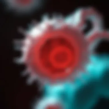 Notable HACAT Keratinocytes: A Comprehensive Exploration Notable HACAT Keratinocytes: A Comprehensive Exploration