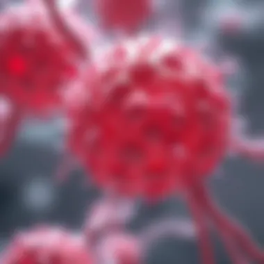 HACAT Keratinocytes: A Comprehensive Exploration Summary HACAT Keratinocytes: A Comprehensive Exploration Summary