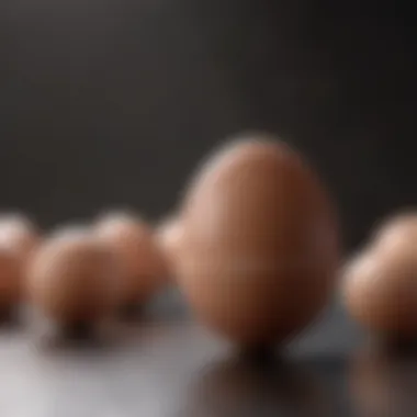 Long-Term Health Considerations for Egg Donors Long-term health implications of egg donation