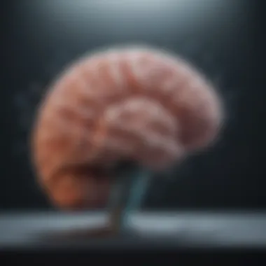 Impact of Homeopathy on Brain Function A visual representation of brain activity, illustrating the impact of homeopathy on cognitive function.
