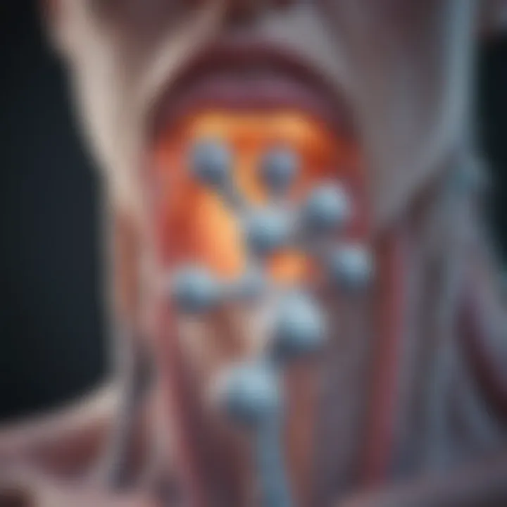 Thyroid hormone structure illustration
