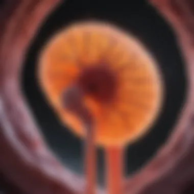 Diagram showing advanced imaging techniques for kidney cancer detection