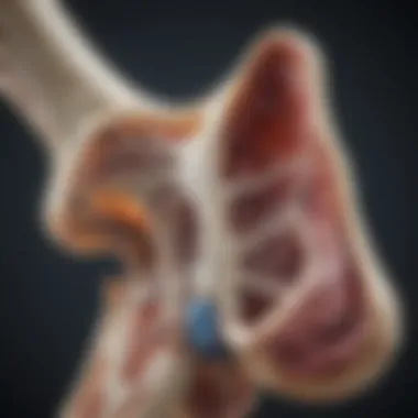 Mechanisms of bone metastasis