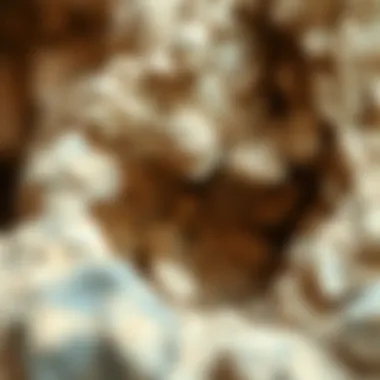 Geological Formation of Concretions Geological formation containing various types of concretions in a sedimentary layer