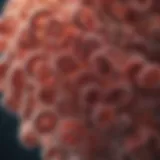 Microscopic view of E. coli bacteria