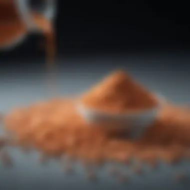 Chart demonstrating the various applications of isomaltulose powder in food and beverage industries.