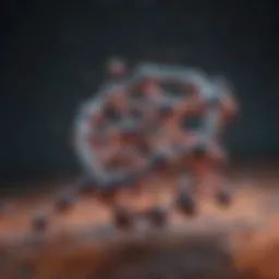 A molecular structure illustration of isomaltulose powder showcasing its unique properties.