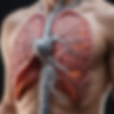 Mechanism of Action of LABAs Diagram illustrating the action of LABAs in the respiratory system