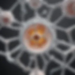 Lactose molecule structure