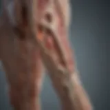 Diagram illustrating nerve pathways affected by surgery