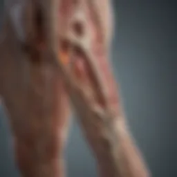 Diagram illustrating nerve pathways affected by surgery