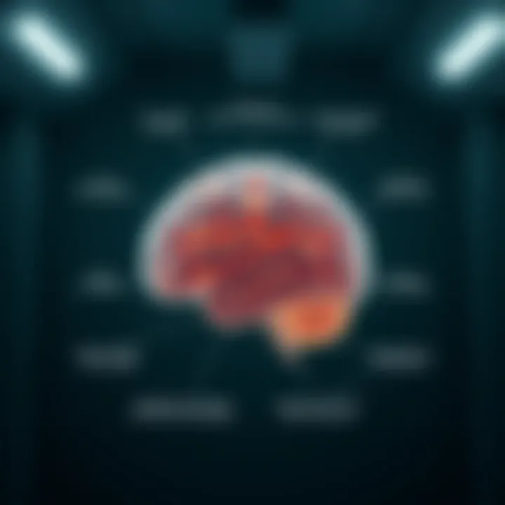 Rehabilitation Strategies for Brain Health Diagram of rehabilitation strategies for brain health